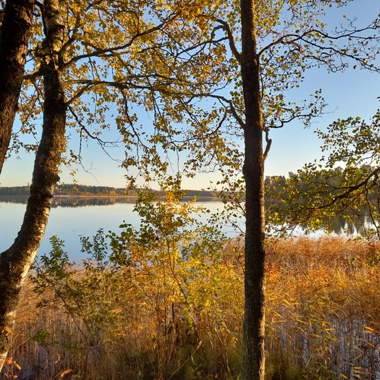 Mäntyniemikoti työpaikkana
