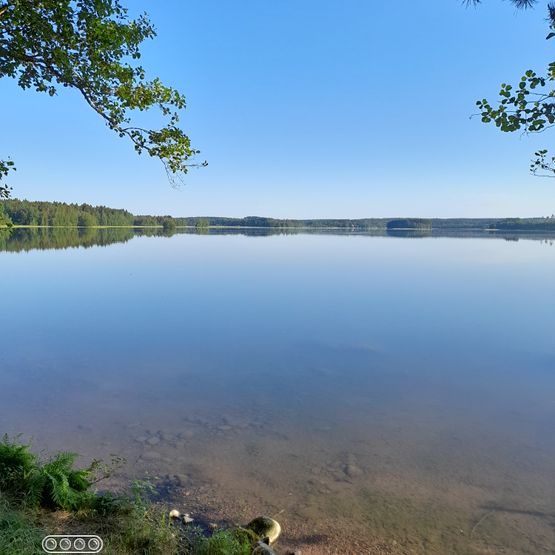 Mäntyniemikodin virkistysmahdollisuuksia