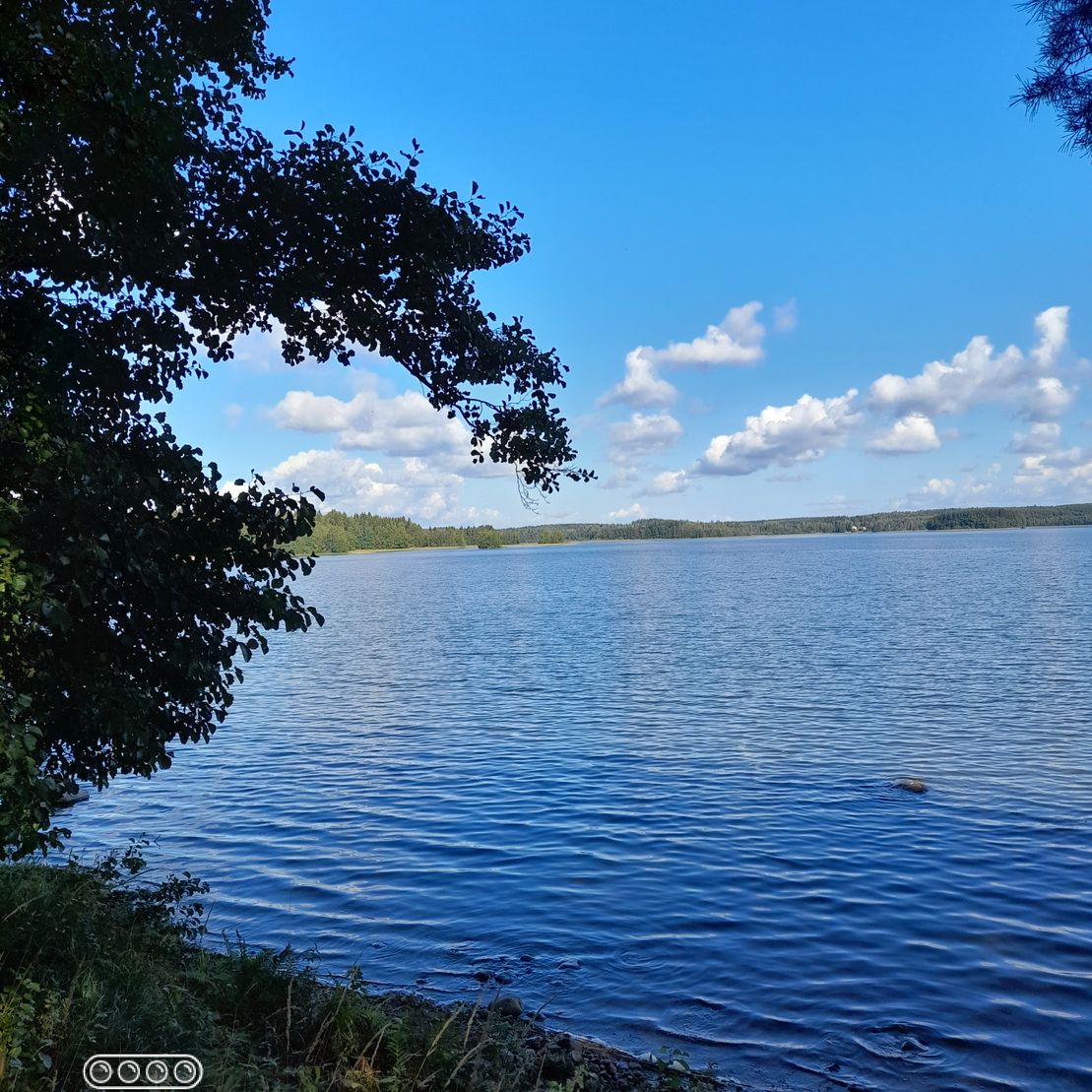 Mäntyniemikodin virkistysmahdollisuuksia