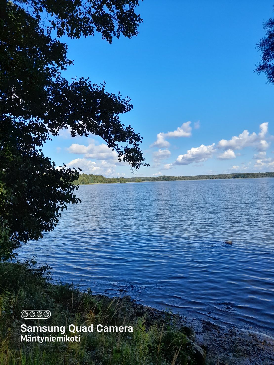 Mäntyniemikodin virkistysmahdollisuuksia